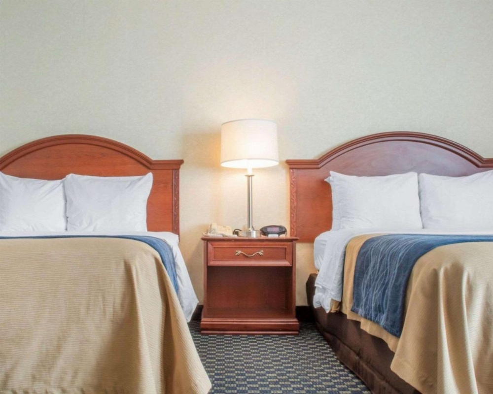 Comfort Inn & Suites Rochester Niagara Falls Image 6