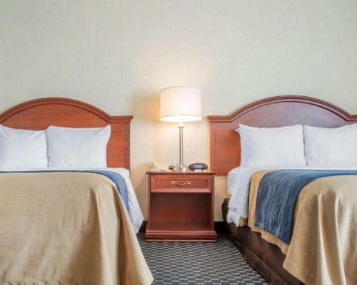 Comfort Inn & Suites Rochester Niagara Falls image 6