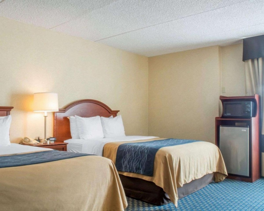Comfort Inn & Suites Rochester Niagara Falls Image 19